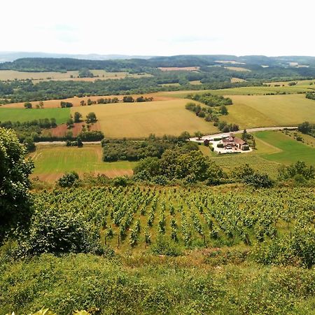 Gite Le Delice Tannay  المظهر الخارجي الصورة